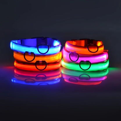 GlowPaw™ LED Safety Collar