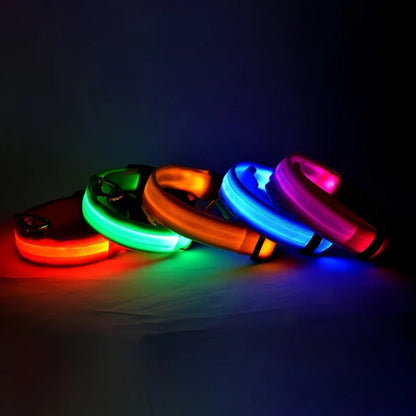 GlowPaw™ LED Safety Collar