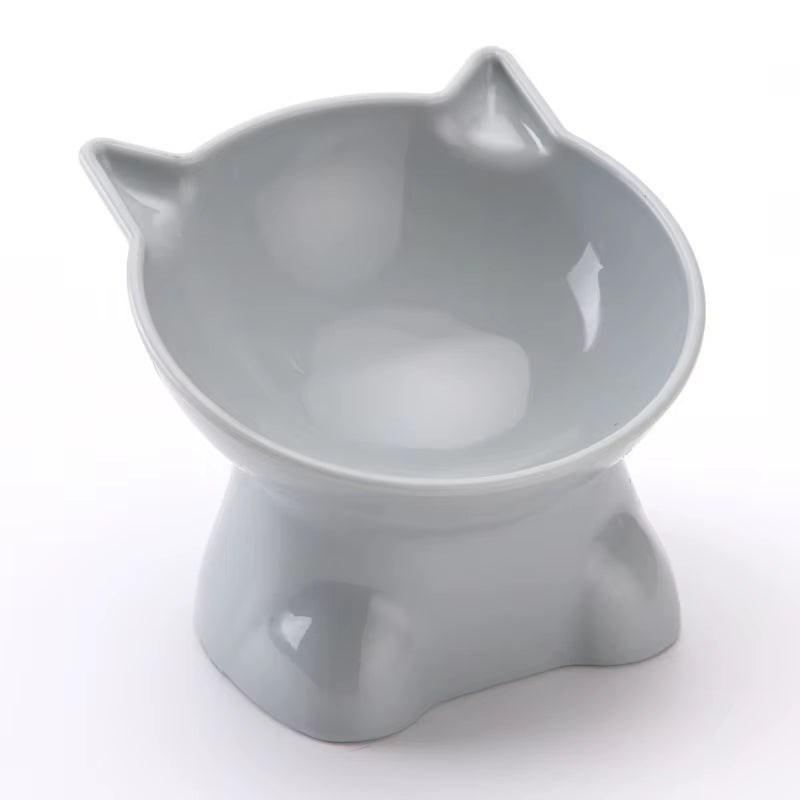 Elevated Tilted Cat Food & Water Bowl