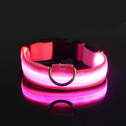 GlowPaw™ LED Safety Collar