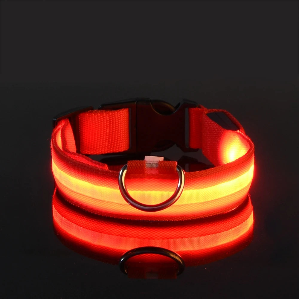 GlowPaw™ LED Safety Collar