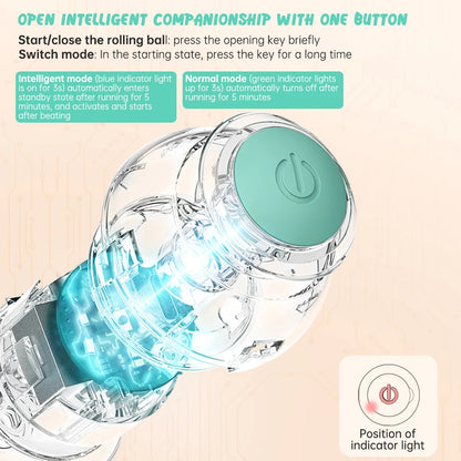 Interactive Automatic Rolling Cat Toy Ball