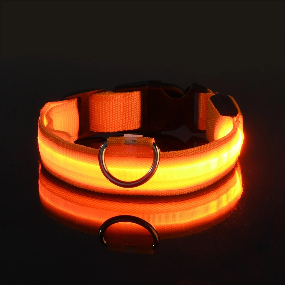 GlowPaw™ LED Safety Collar
