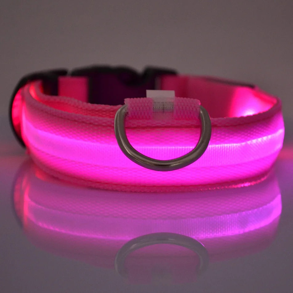GlowPaw™ LED Safety Collar
