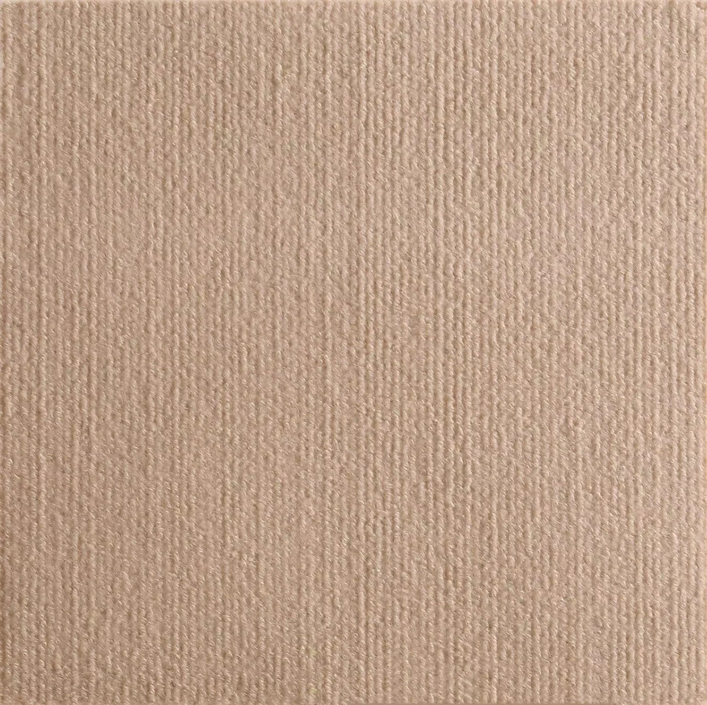 Self-Adhesive Cat Scratching Protector Mat