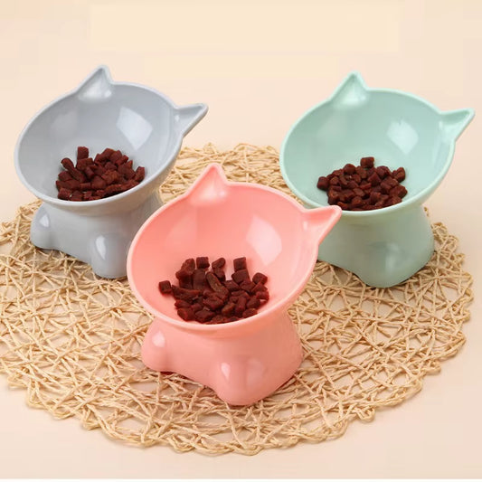 Elevated Tilted Cat Food & Water Bowl