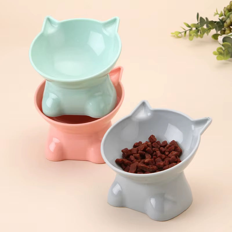Elevated Tilted Cat Food & Water Bowl