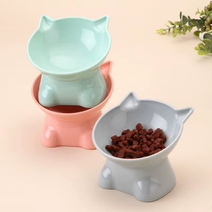 Elevated Tilted Cat Food & Water Bowl
