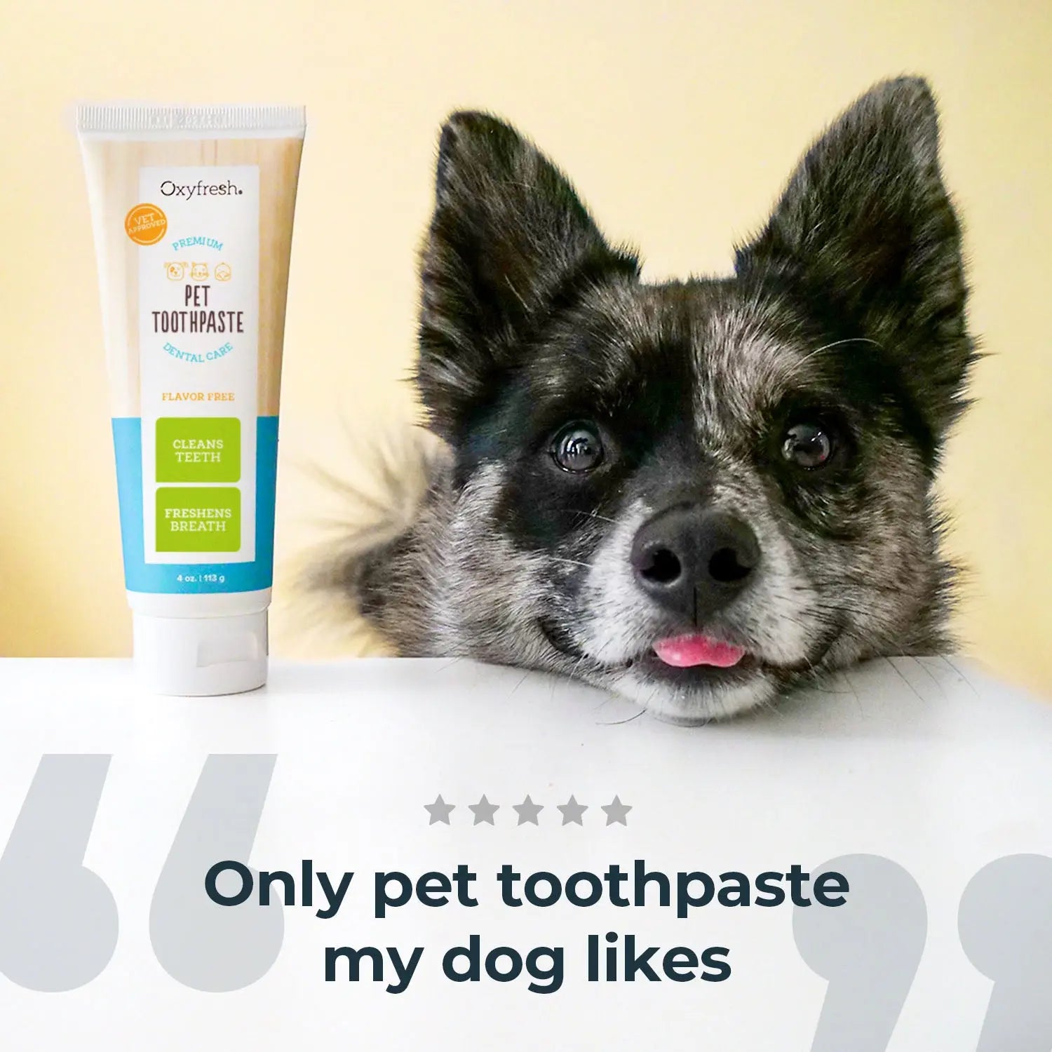 Pet Toothpaste for Fresh Breath & Healthy Smiles