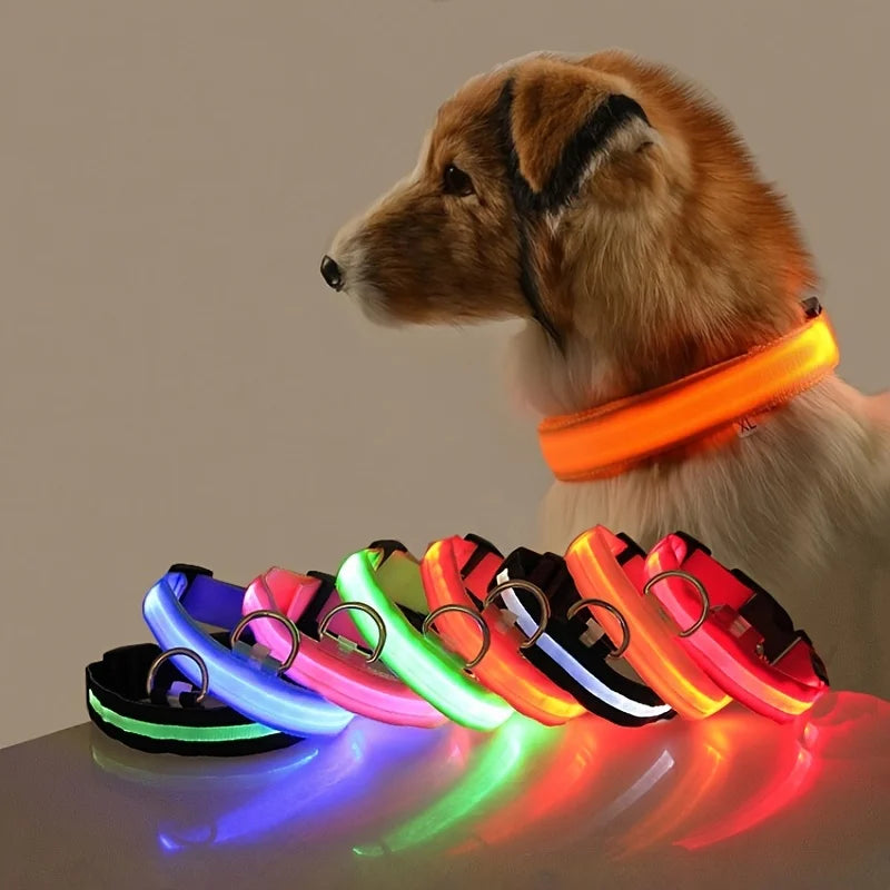 GlowPaw™ LED Safety Collar