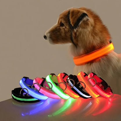 GlowPaw™ LED Safety Collar
