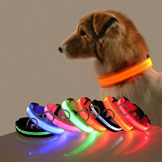 GlowPaw™ LED Safety Collar