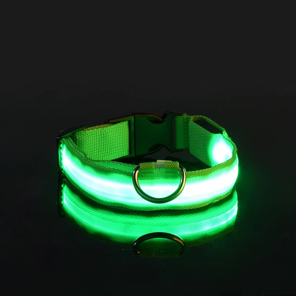 GlowPaw™ LED Safety Collar