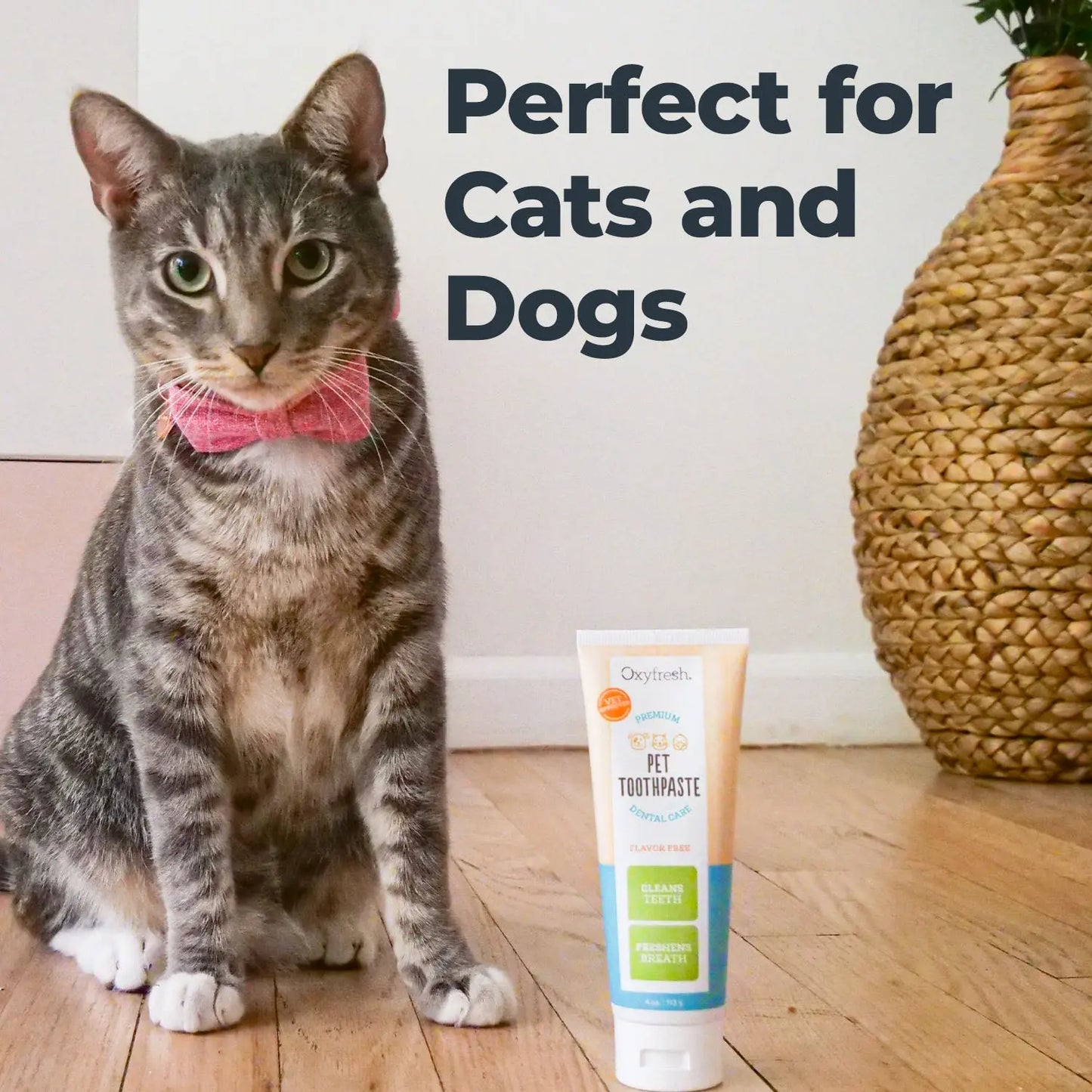 Pet Toothpaste for Fresh Breath & Healthy Smiles