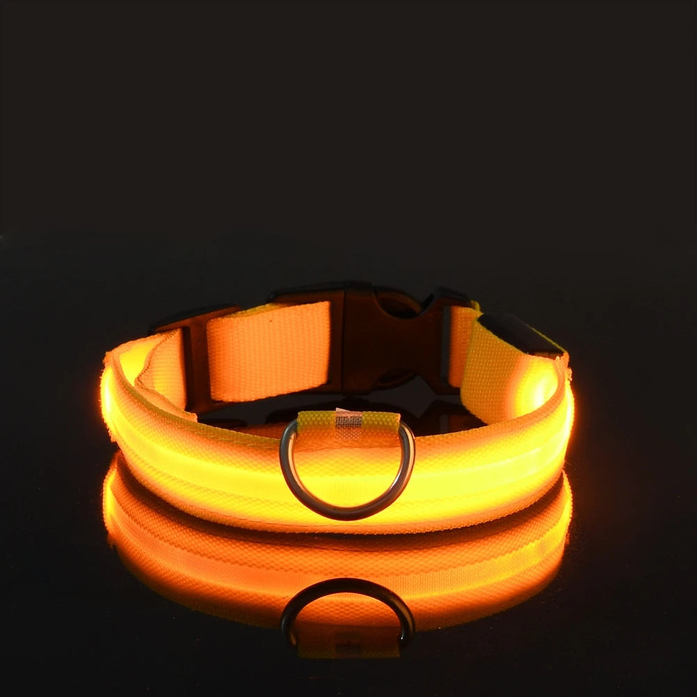 GlowPaw™ LED Safety Collar