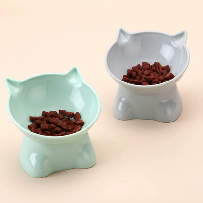 Elevated Tilted Cat Food & Water Bowl